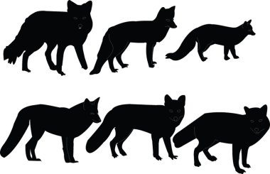 Foxes collection clipart