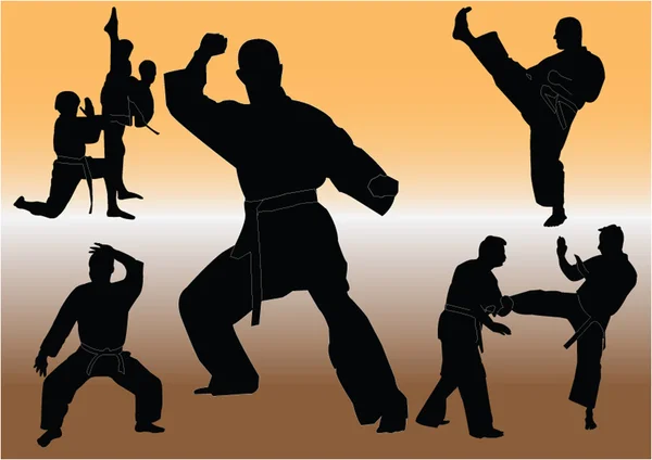 Karatesammlung — Stockvektor
