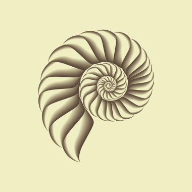 Shell clipart