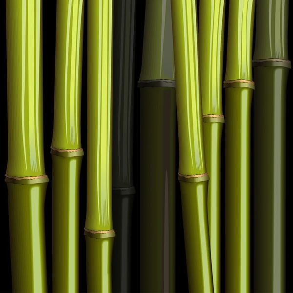 Bambù — Vettoriale Stock