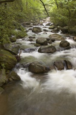 Middle Saluda River in SC. clipart