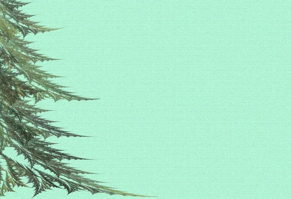 Große Tannenbäume auf grünem Hintergrund — Stockfoto