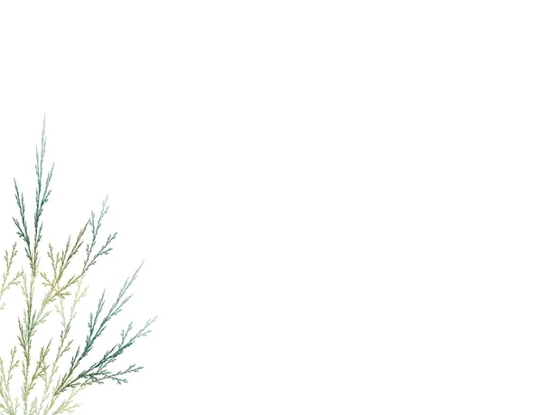 Fraktal i form av en gren på en whi — Stockfoto