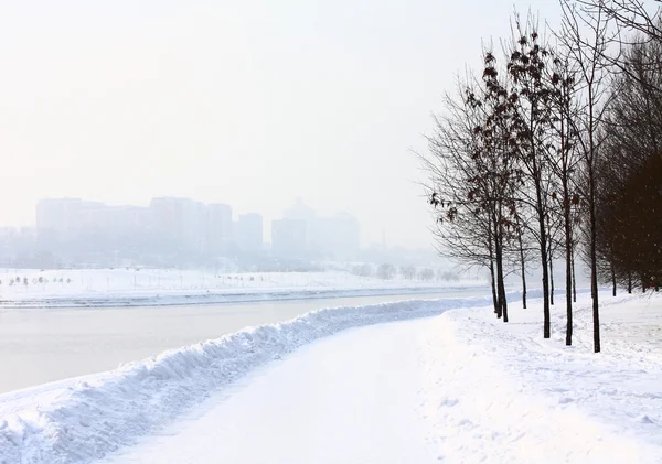 川と冬の風景 — ストック写真