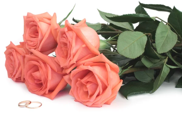 Růže a snubní prsteny — Stock fotografie