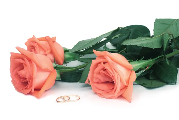 Rosas y anillos de boda —  Fotos de Stock