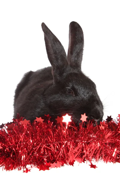 Rabbit in a tinsel. — Stock Photo, Image