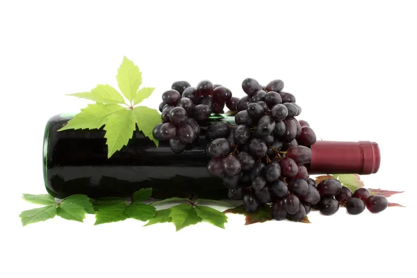 Láhev červeného vína, samostatný. — Stock fotografie