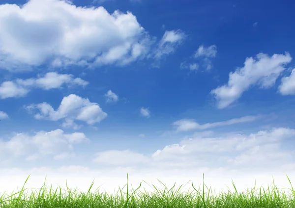 stock image Blue sky and green grass.