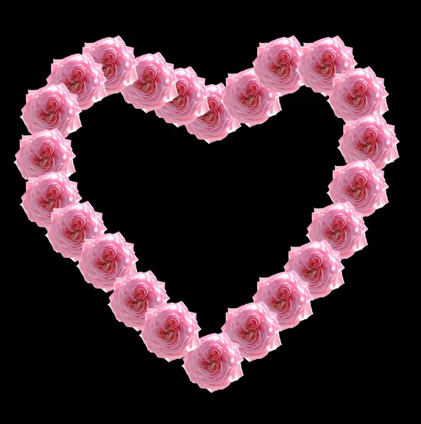 Coração de rosas isoladas . — Fotografia de Stock