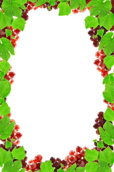 Frame grapes — Stock Photo, Image