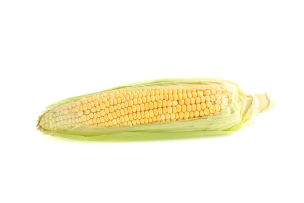 stock image Yellow corn