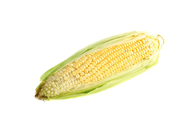 stock image Yellow corn isolated.