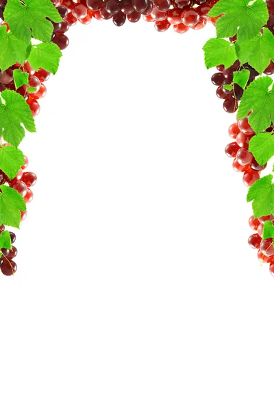 Frame from grapes — Stock Photo, Image