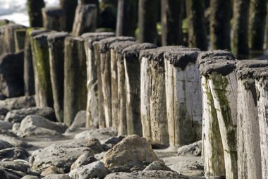 North Sea beach with breakwater clipart