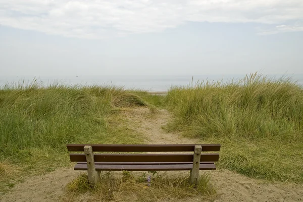 En tom bänk i sanddynerna — Stockfoto