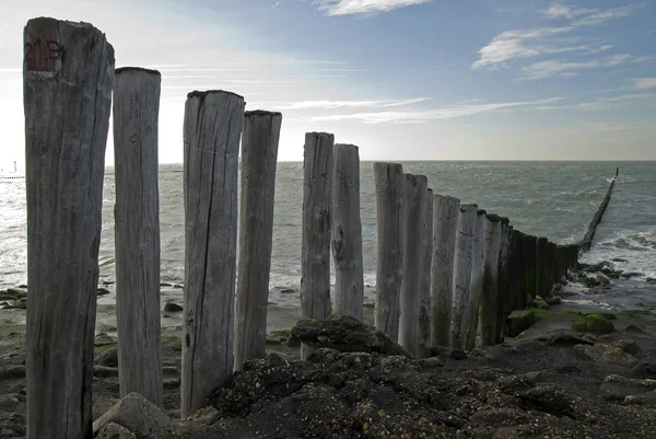 Nordsjön stranden med vågbrytare — Stockfoto