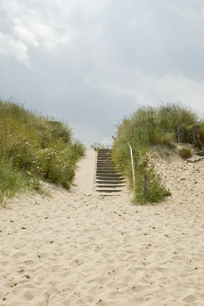 Treppen in den Dünen — Stockfoto