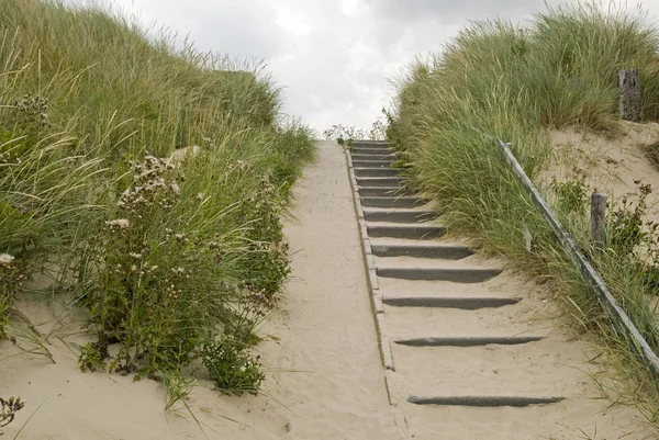 Treppen in den Dünen — Stockfoto