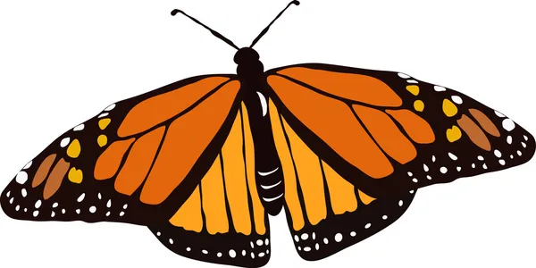 Papillon monarque en vol — Image vectorielle