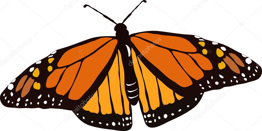 Monarch Butterfly In Flight