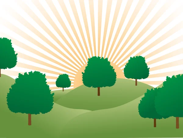 Lever de soleil sur les collines couvertes d'arbres — Image vectorielle