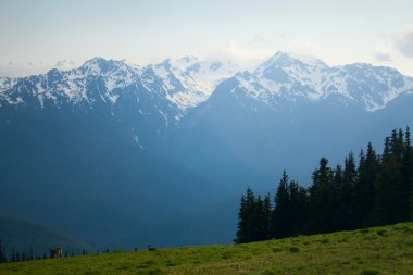 Kasırga Ridge Dağı olympus zirveleri