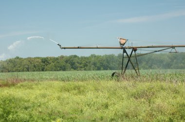 Irrigation_2