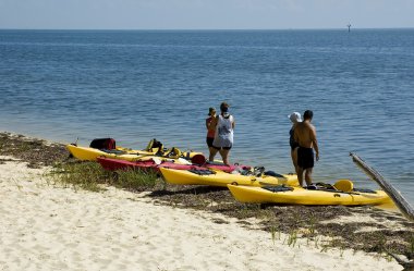 Kayakers on Beach clipart