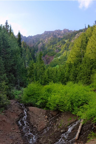 stock image Mountainside Stream