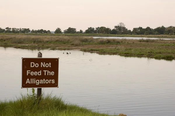 Do Not Feed the Alligators — Stock Photo, Image