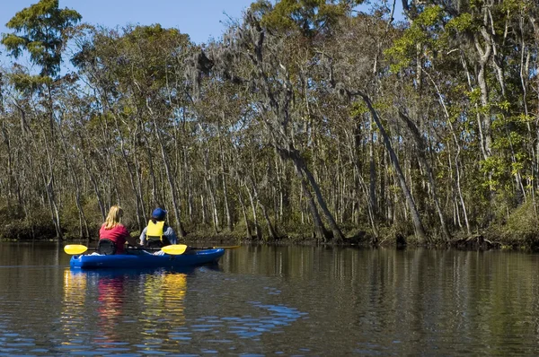 Kayaking the Creek — Stock Photo, Image