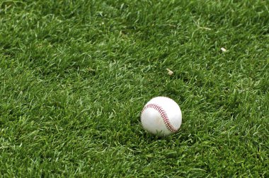Baseball in the Grass clipart