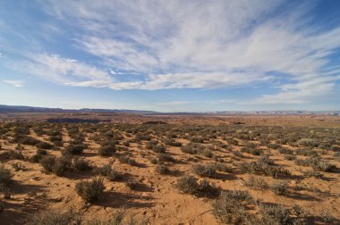 Arizona Desert clipart