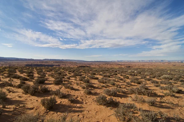 Arizonai sivatag — Stock Fotó