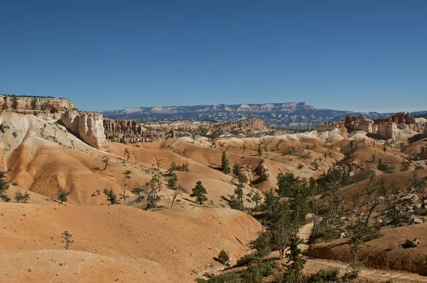 Bryce canyon genel bakış — Stok fotoğraf