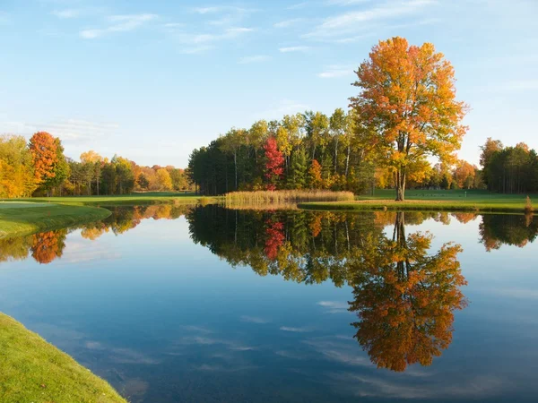 秋の湖 ストック画像