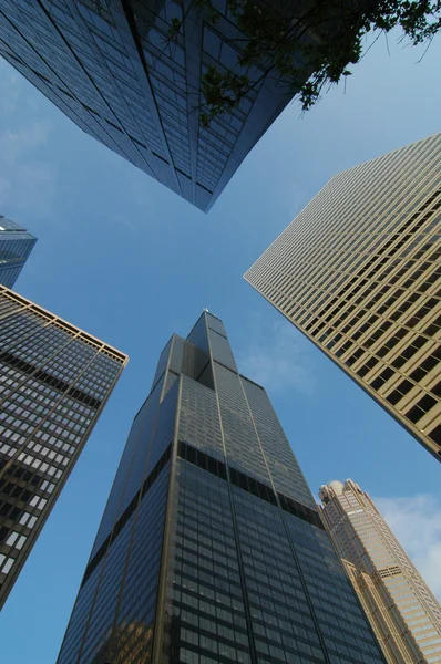 Sears Tower Wide Angle — Stock Photo, Image