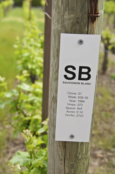 Vineyard Sign — Stock Photo, Image