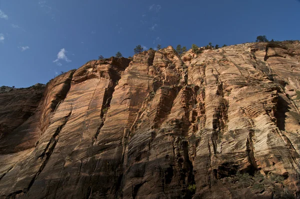 Zion Nationaal park rotswand — Stockfoto