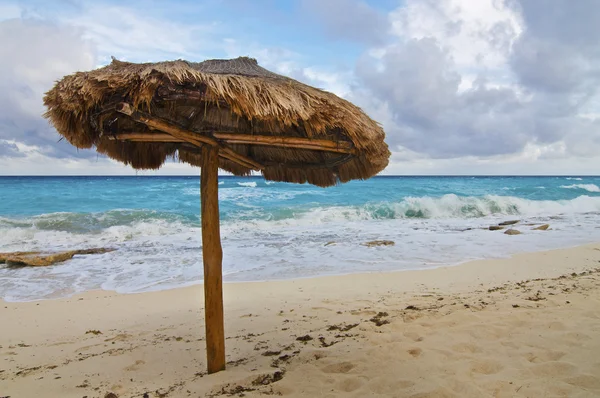Plaża pojedynczy palapa — Zdjęcie stockowe