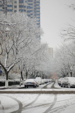 White snow covered the trees in city clipart