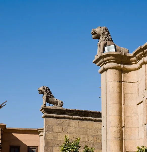 stock image Stone lion of Saladin Citadel of Cairo