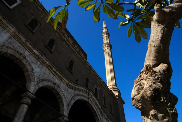 Détails d'architecture de la mosquée Mohamed Ali — Photo