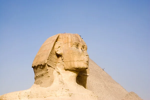 Sphinx et pyramide — Photo