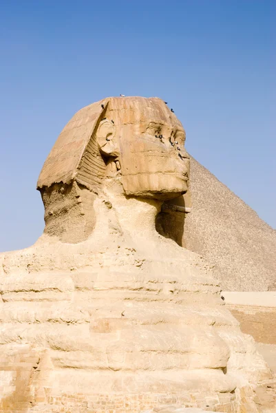 狮身人面像和金字塔 — 图库照片