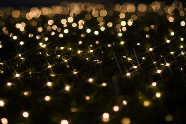 Köpüklü holiday lights etkileri — Stok fotoğraf