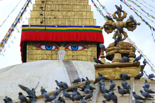 Bodhnath Stuba e religião colorida str — Fotografia de Stock