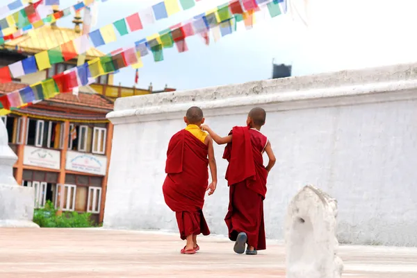 2 つのチベットの子供の仏教の僧侶 ストックフォト
