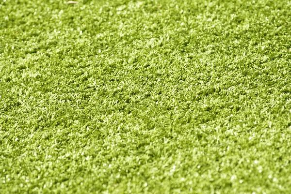 Zelené trávě close-up pozadí — Stock fotografie